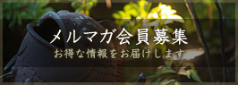 メルマガ会員募集 お得な情報をお届けします