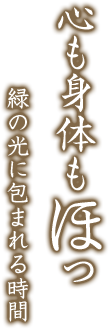 心も身体もほっ 緑の光に包まれる時間