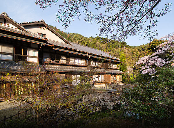 自然の息吹をすぐそこに感じる 日本庭園