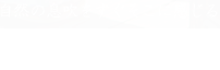 自然の息吹をすぐそこに感じる 日本庭園