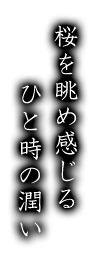 桜を眺め感じるひと時の潤い々の風情