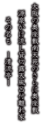 大阪の奥座敷南天苑のさらに奥座敷 源泉かけ流し貸切露天風呂付離れ家その名も -清流亭-