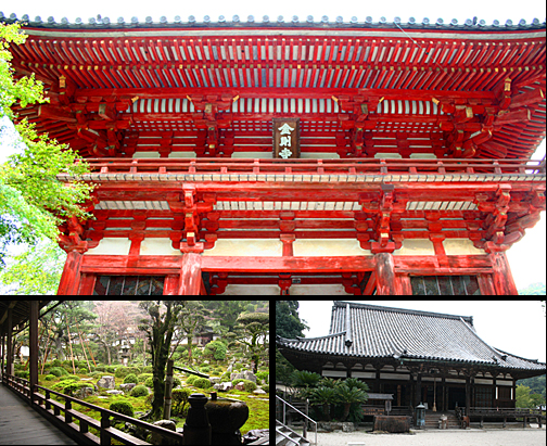 天野山 金剛寺